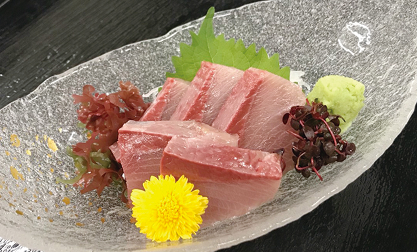 本日のおすすめ刺身